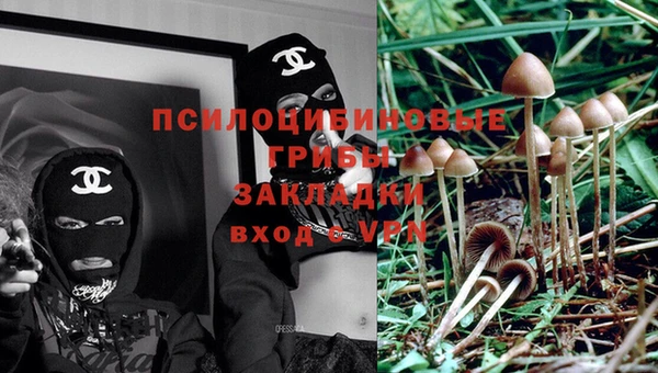 СК Аркадак