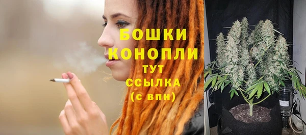 СК Аркадак