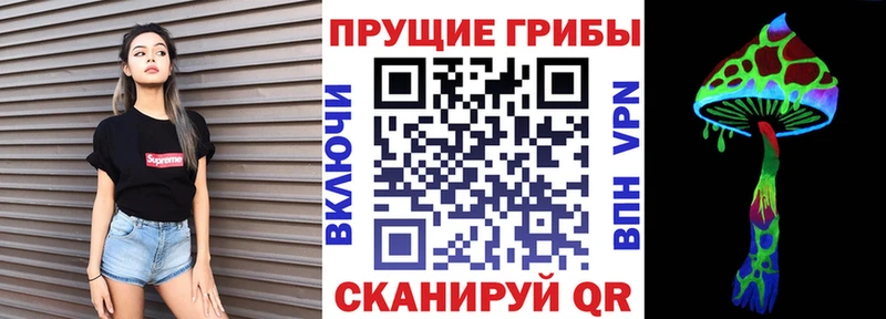 даркнет сайт  Пугачёв  Галлюциногенные грибы мицелий 